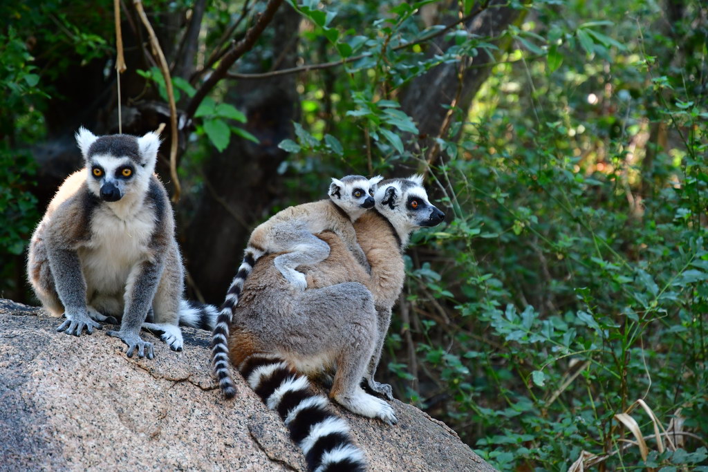 Anja Community Reserve